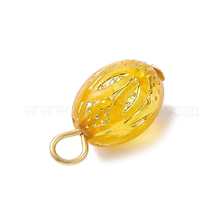 Прозрачные акриловые подвески&nbsp;PALLOY-JF04346