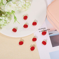 12 шт. Подвески из сплава с эмалью&nbsp;FIND-CA0009-59