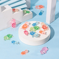 48 шт. 12-х стилевые подвески из светящейся смолы&nbsp;JACR-TA0001-02