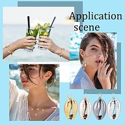 40 шт. подвески из натуральных ракушек с гальваническим покрытием 4 цветов&nbsp;SHEL-GA0001-10