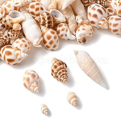 103.8 г подвески из натуральной спиральной ракушки в двух стилях&nbsp;SSHEL-FS0001-08