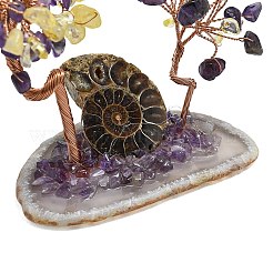 Украшения для витрин из натуральных смешанных драгоценных камней пахира голая&nbsp;DJEW-K025-05B