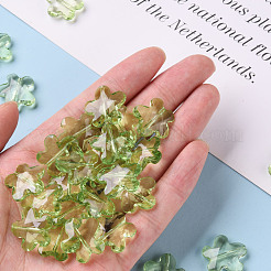 Прозрачные акриловые бусины&nbsp;TACR-S154-32B-83