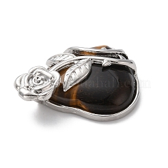 Природных тигровый глаз подвески&nbsp;G-B042-01P-06