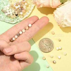 100 шт. 5 вида бусин из натуральных белых ракушек&nbsp;SSHEL-YW0001-17