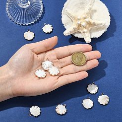 10 шт. подвески из натуральных пресноводных ракушек с гальваническим покрытием&nbsp;SHEL-CJ0001-39