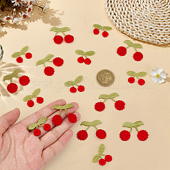 40 шт. 2 стили полиэстеровых нашивок для одежды&nbsp;PATC-MA0001-51