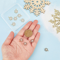 10шт. сплав с подвесками из кубического циркония&nbsp;FIND-PH0028-35B