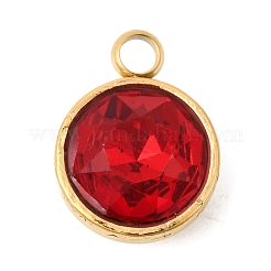 12 шт. подвеска из нержавеющей стали 304 с изображением камней по знаку зодиака.&nbsp;STAS-K239-01G-A