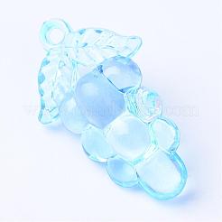 Прозрачные акриловые подвески&nbsp;TACR-S132-02