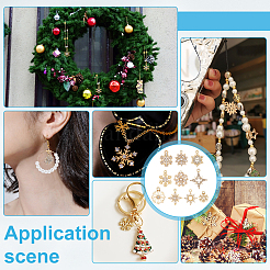 60шт 10 стиля подвески из сплава со стразами&nbsp;FIND-PH0028-36G