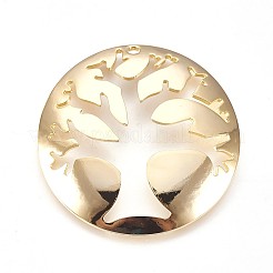 Латунные подвески&nbsp;KK-P153-13G-NF