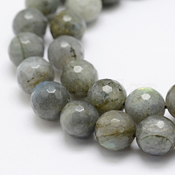 Природные лабрадорита бисер нитей&nbsp;G-P322-28-10mm