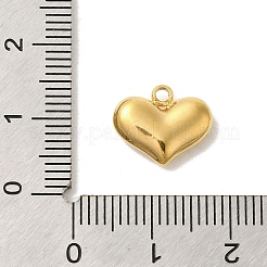 Ионное покрытие (ip) подвески из нержавеющей стали 304&nbsp;STAS-S131-12G