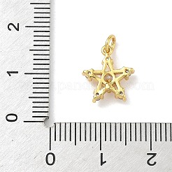 Латунные микро проложить кубического циркония подвески&nbsp;LS-KK-H528-02G