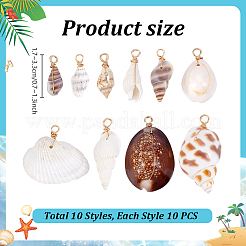 100 шт. 10 стиля подвески в виде ракушек&nbsp;PALLOY-PH01882