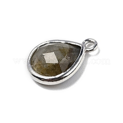 Ограненные подвески из натурального лабрадорита&nbsp;G-U019-05P-08