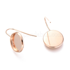 Крючки для сережек из нержавеющей стали 304&nbsp;LS-STAS-F227-22C-RG