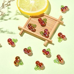 20шт прозрачные акриловые подвески&nbsp;TACR-CJ0001-56