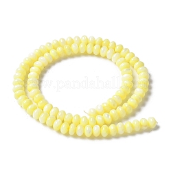 Нити бусин из натуральных пресноводных ракушек&nbsp;SSHEL-C013-07C
