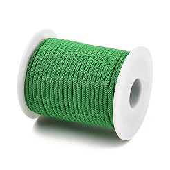 Нейлоновые нити&nbsp;NWIR-P018-21