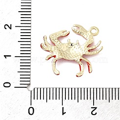 Подвески из эмали и сплава&nbsp;FIND-I066-08G