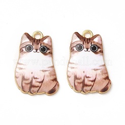 Подвески из эмали и сплава&nbsp;X-ENAM-M046-12G-C