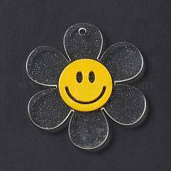 Прозрачные акриловые большие подвески&nbsp;OACR-P012-A06