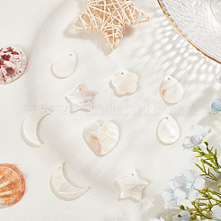 Природные подвески оболочки пресноводных&nbsp;SHEL-SC0001-07