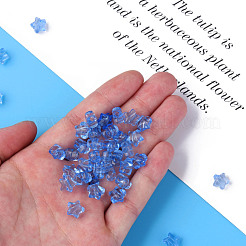 Прозрачные акриловые бусины&nbsp;MACR-S373-45-B10