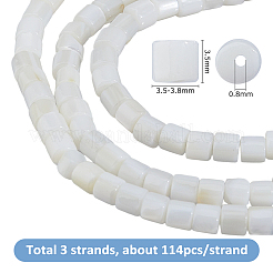 3 нить бусин из натуральных пресноводных ракушек&nbsp;SHEL-HS0001-16