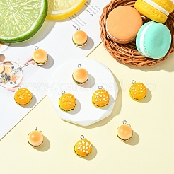 10шт 2 стиля непрозрачные подвески из смолы&nbsp;RESI-YW0003-32