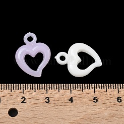 Пластиковые подвески&nbsp;KY-F023-16