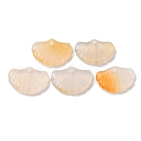 Природные подвески агат&nbsp;G-NH0006-01H