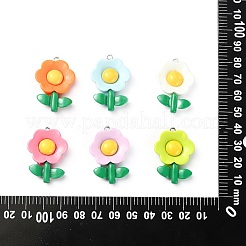 30 шт. 6 цвета непрозрачные подвески из смолы&nbsp;RESI-CJ0003-08