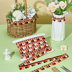 Лента из полиэстера с бахромой цвета радуги&nbsp;SRIB-WR0001-16