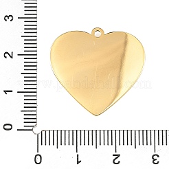 Подвески из нержавеющей стали 304 с эмалью&nbsp;STAS-Z186-12G-01