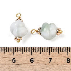 Непрозрачные акриловые подвески&nbsp;KK-K296-01G-01