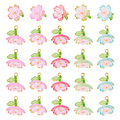 30шт 5 цвета прозрачные акриловые подвески&nbsp;PALLOY-TA00304