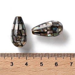 Бусины из натуральной ракушки пауа&nbsp;SSHEL-B002-10A-02