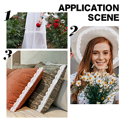 Кружевные ленты из полиэстера&nbsp;OCOR-WH0066-62