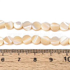 Нити бусин из натуральных трохоидных/трохус ракушек&nbsp;SSHEL-N041-03