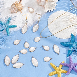 8 шт. 2 стиля подвески из искусственной смолы в виде ракушки&nbsp;KK-BC0012-02