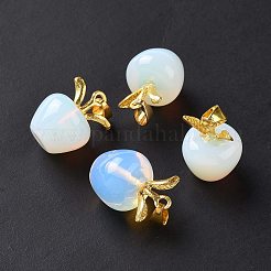 Opalite подвески&nbsp;G-C023-06G