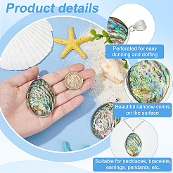 2 шт. большие подвески из натуральной ракушки пауа&nbsp;FIND-BC0013-55