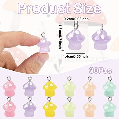 30шт 6 цвета светящиеся непрозрачные подвески из смолы&nbsp;JACR-YW0001-03