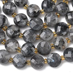 Натуральные нити бус из ларвикита&nbsp;G-K389-B85-01