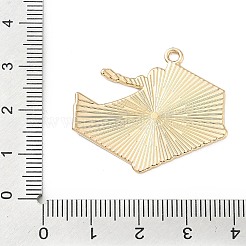 Подвески из спортивного сплава с эмалью&nbsp;ENAM-I074-01G-07