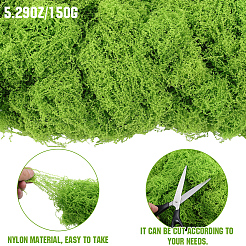 150 г искусственных камней из мха&nbsp;DJEW-SP0001-22B