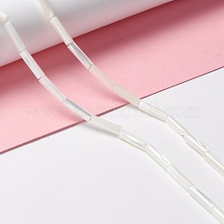 Бусины из натуральных трохоидных/трохус ракушек&nbsp;X-SSHEL-O001-26B